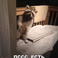 Пятничные пописиделки или о б**дях и мужчинах в белом пальто.