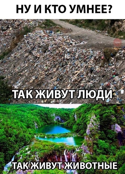 Картинок немного 25.12.19