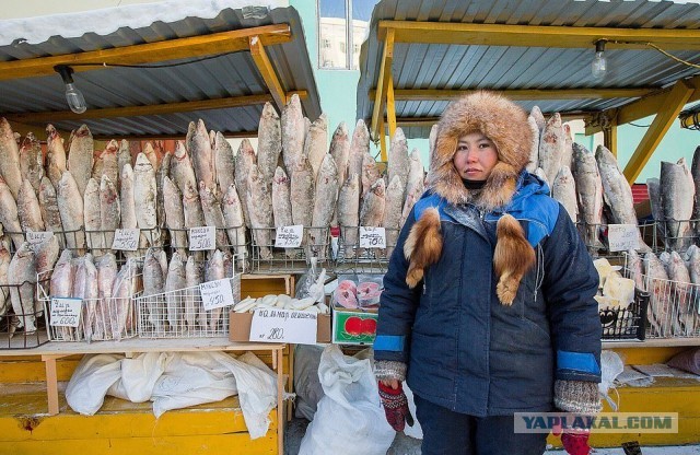 Иностранцы в шоке от жителей Якутии, где температура упала до -59, а люди жалуются, что зима мягкая