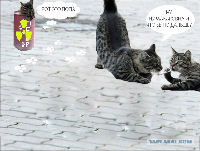 Подпиши фото!