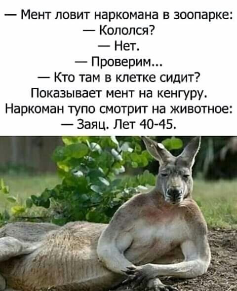 Так себе картинки 10.06.20