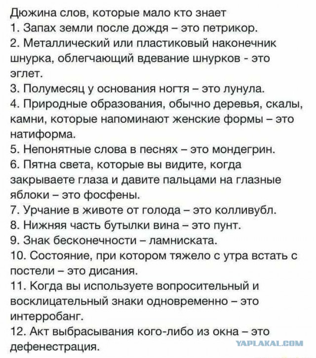 Немного картинок для настроения 11.07.20