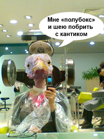 Фотожаба: Цыпа