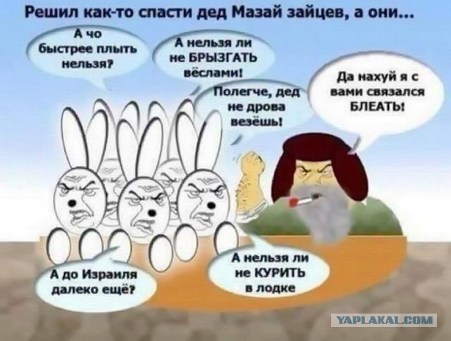 На Камчатке на подводной лодке застрелили медведицу с медвежонком