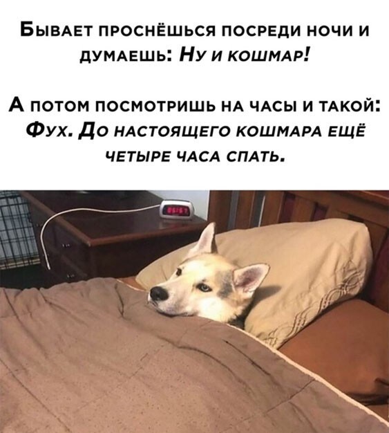 Баянисто-небаянистый юмор 15.11.20