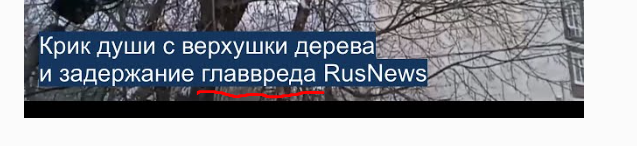 Крик души с дерева у суда сами знаете над кем