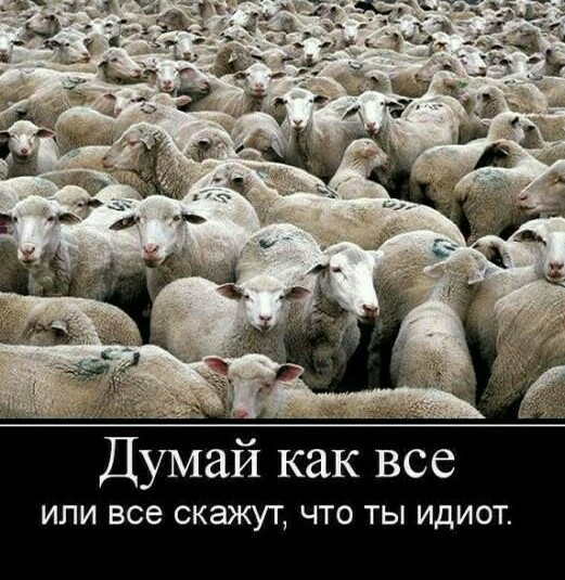 Алексей Навальный объявил голодовку в колонии