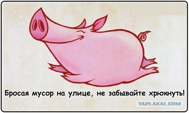 Вежливый водитель возвращает мусор с дороги