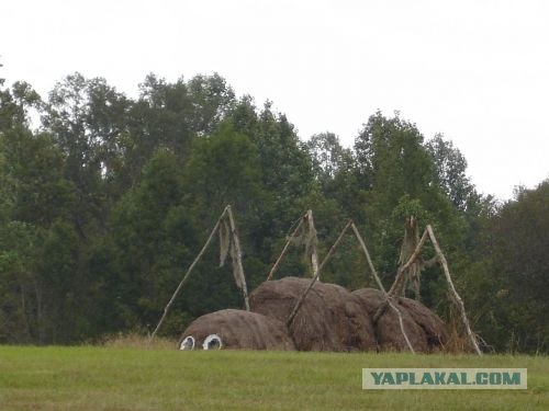 Сено косить - не мелочь по карманам тырить