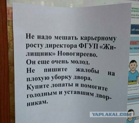 Разомнем перед пятницей упоротость