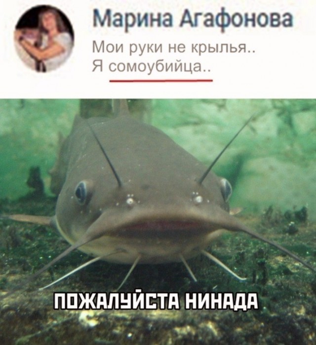 Картинки и мемы для настроения 11.08.2021