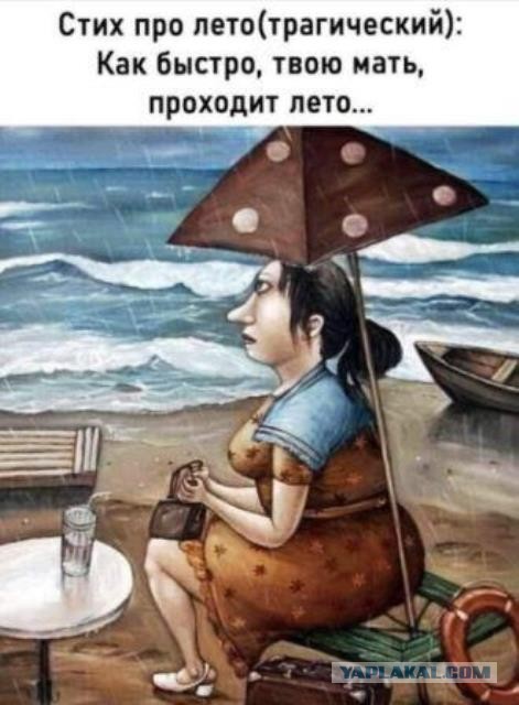 Так себе картинки 25.08.21