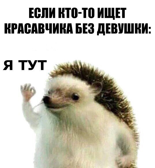 Весёлый полтишок 13.09