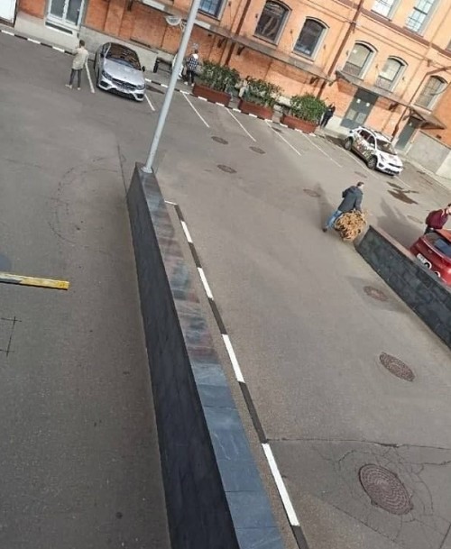 Герой сегодняшнего дня — москвич, который выносит ёлку в сентябре