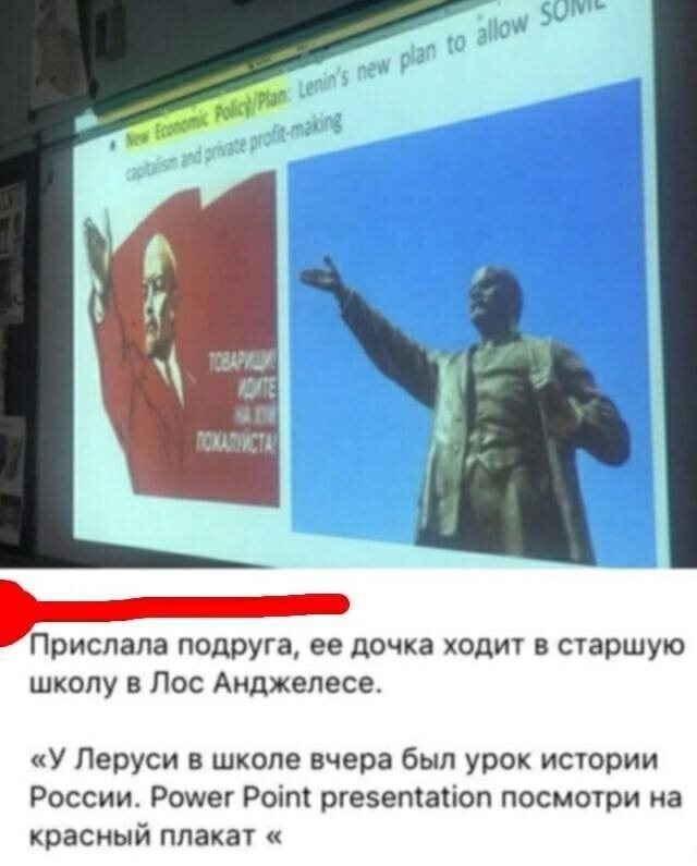 Всяческие картинки 08.11.2021