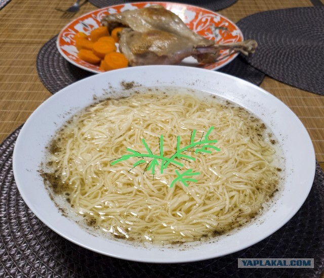 Гусь лапчатый, с лапшой