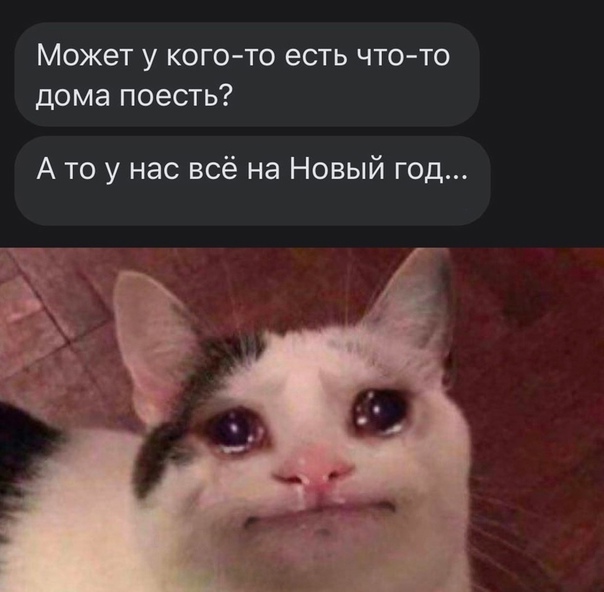 Весёлый полтишок 31.12