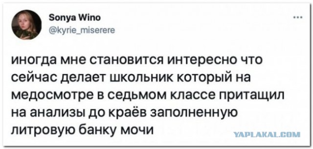 Баянисто-небаянистый юмор 2.02.22