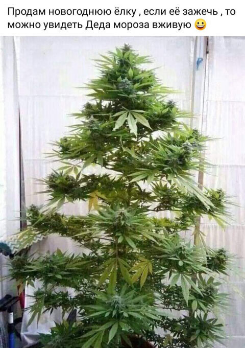 Следуйте за мной
