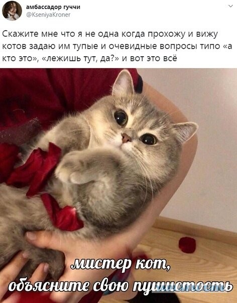 Так себе картинки 05.05.22