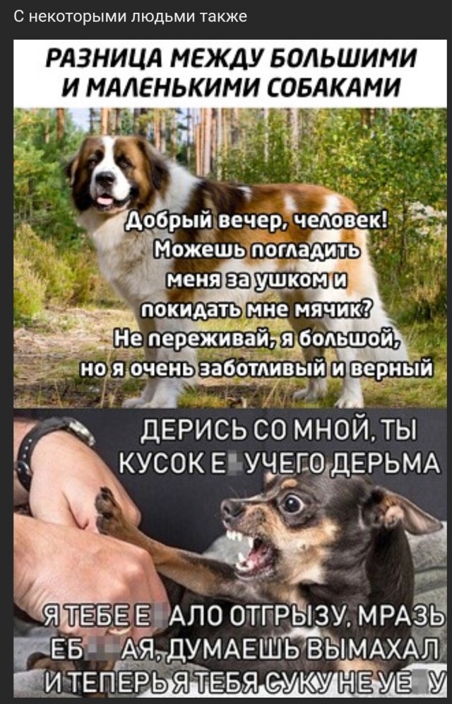 Картинки и мемы, выходные продолжаются