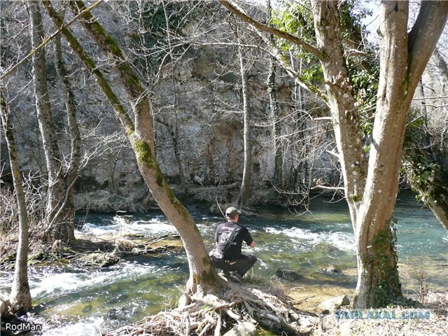 Форель, горный Крым.