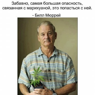 Билл Мюррей всё-таки отличный актёр