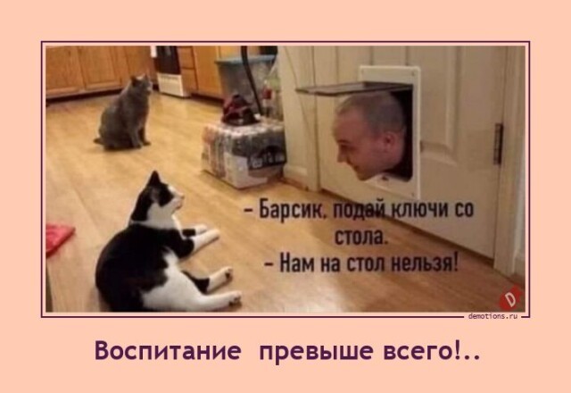 Юмор в картинках и без