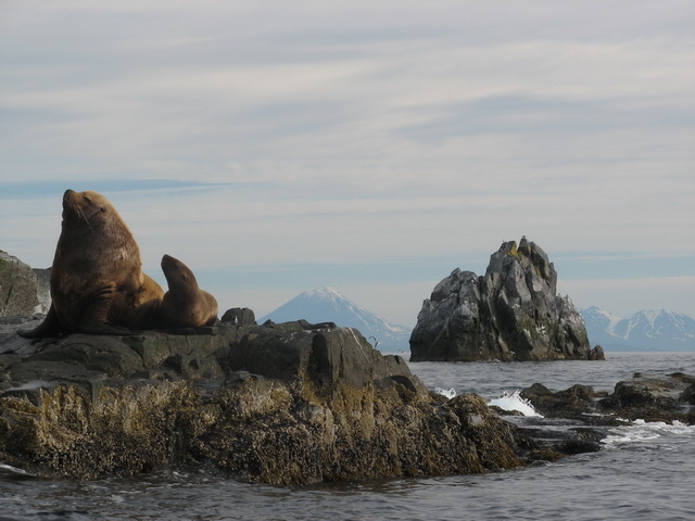 Петропавловск-Камчатский и его окрестности...