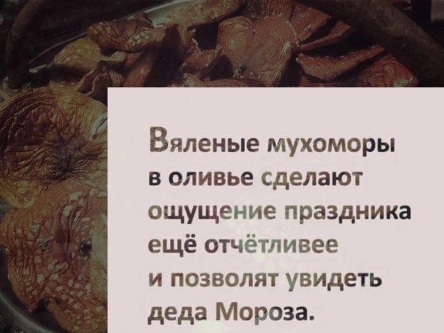 Чёрно-пошлая деградация