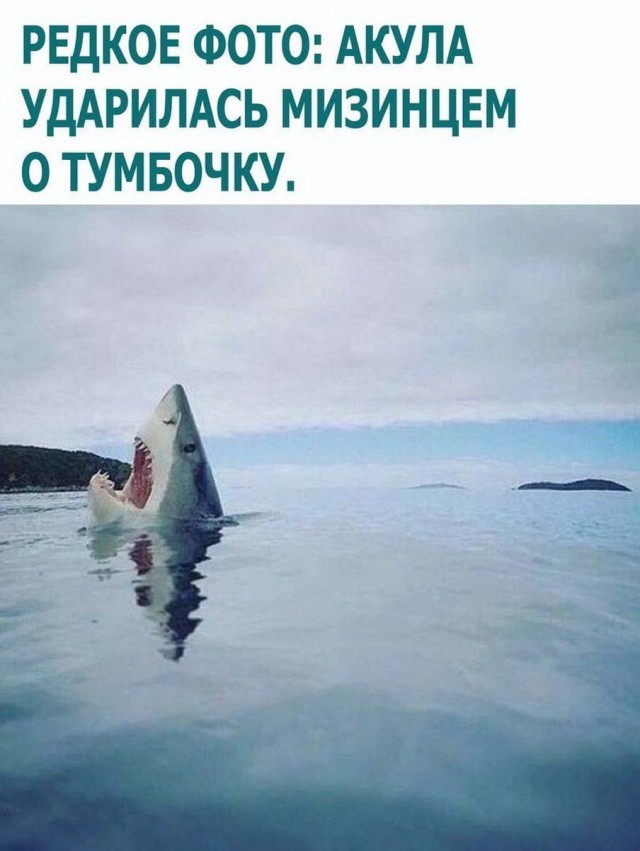 Нуштош 11.03.23