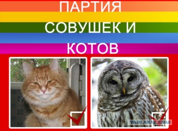 Так себе картинки 10.04.24