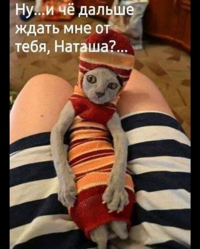 Завалялось тут случайно немного забавных картинок