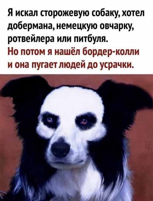 Так себе картинки 09.10.24