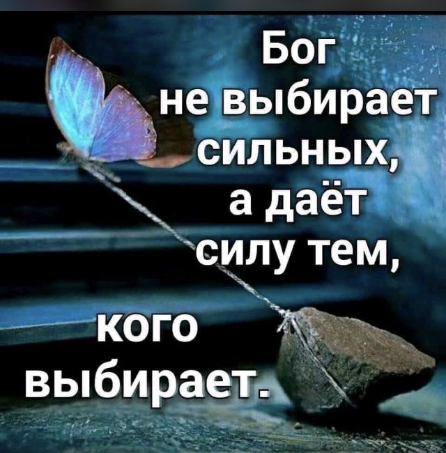 Прикольные и просто красивые картинки 04.12.2024