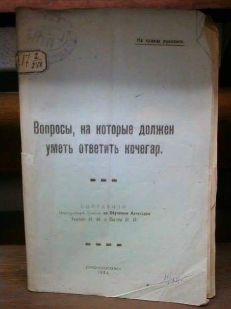 Весёлые картинки