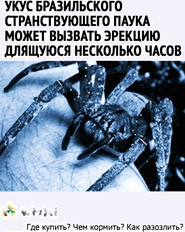 Так себе картинки 25.12.24