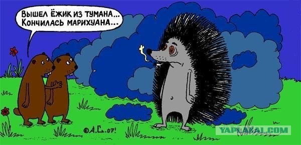 Дипломная работа книга 2 ( археологи )