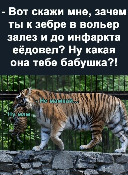Охотник
