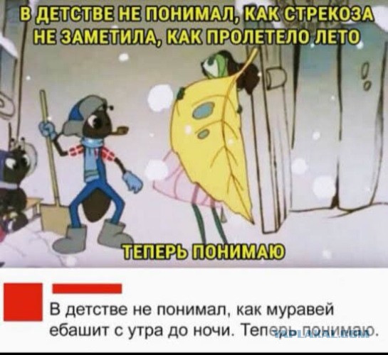 Стрекозы поедают комаров, которые вылетают из канализационного люка