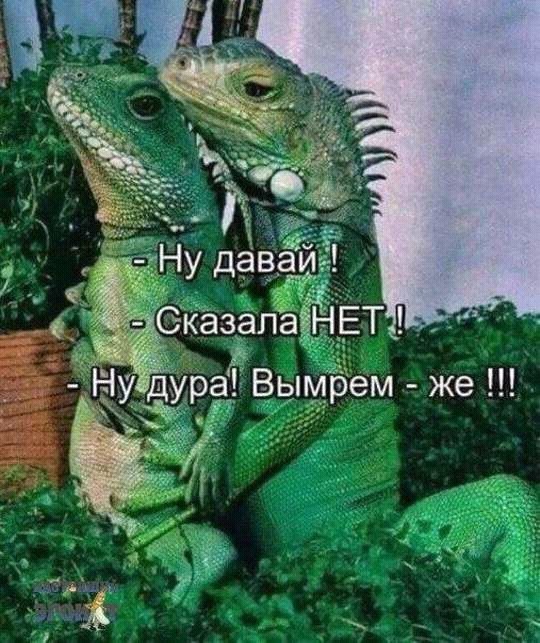 Картинки для деградации 63 (разной степени свежести)