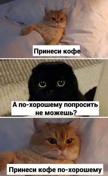 Картинки для деградации 65 (разной степени свежести)