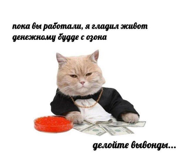 Так себе картинки 24.12.25
