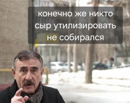 В Липецке обнаружили и уничтожили 4 килограмма санкционного сыра