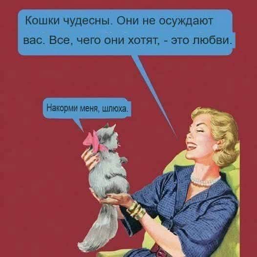 Маленькая пятница 11.03