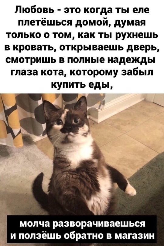 Субботние картинки