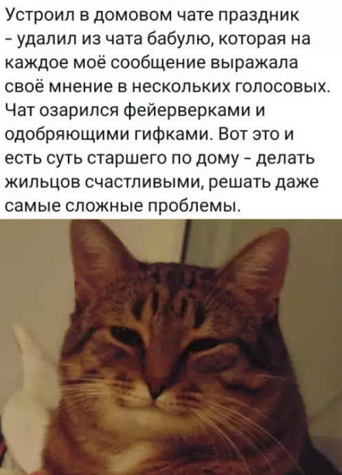 Картиночки, баянчики 02 апреля