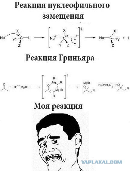 Все начинается с биомассы