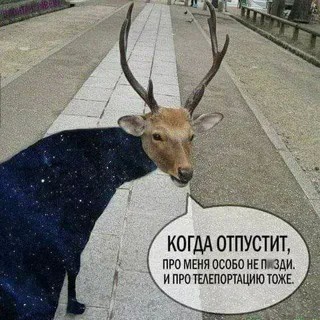 Да, да вот здесь почеши