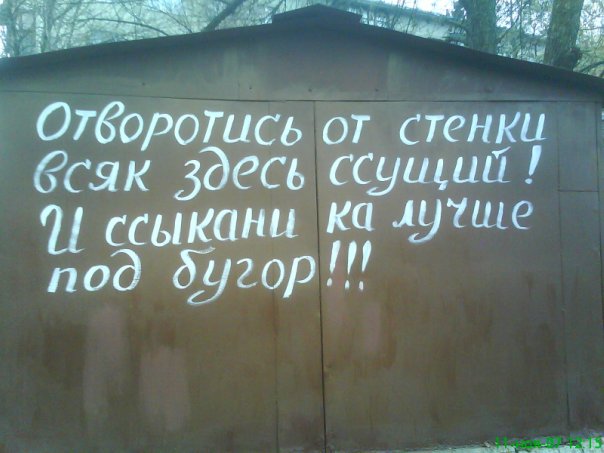Смешные картинки, снятые на мобильник